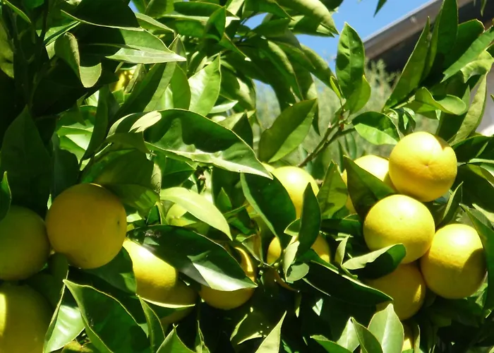 玛尔乔莱娜酒店 2*